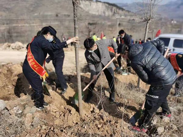 植樹(shù)添新綠，不負(fù)好春光！山東三箭集團(tuán)開(kāi)展義務(wù)植樹(shù)活動(dòng)